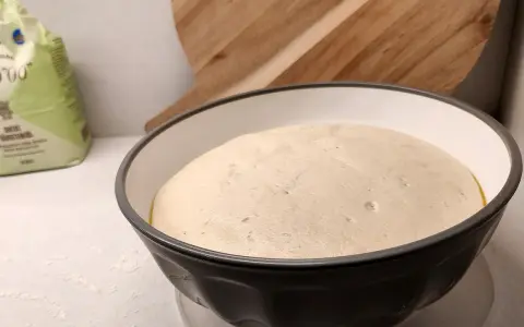 En fluffig pizzadeg i en skål, redo att frysa in för framtida pizzakvällar. En mjölpåse syns i bakgrunden.
