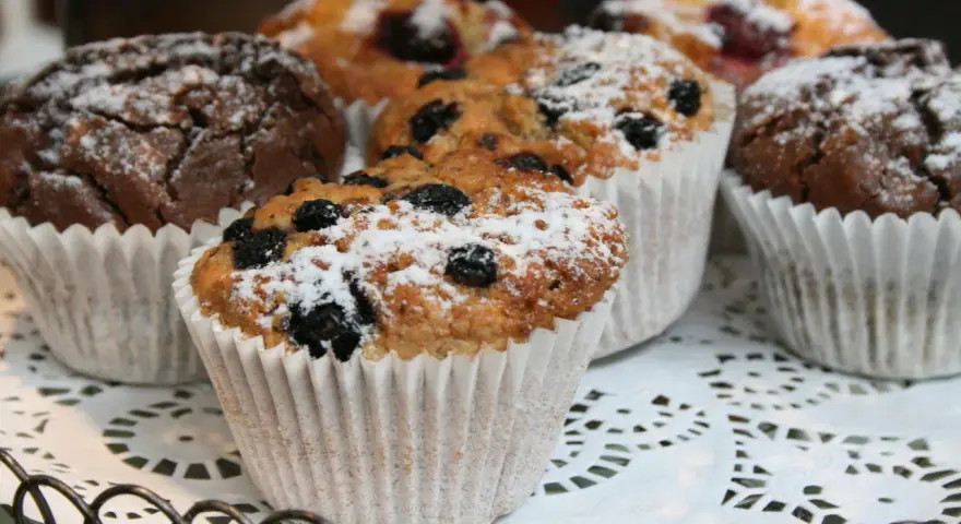 Fluffiga muffins med blåbär och choklad, pudrade med florsocker. Perfekt för ett enkelt muffins recept.