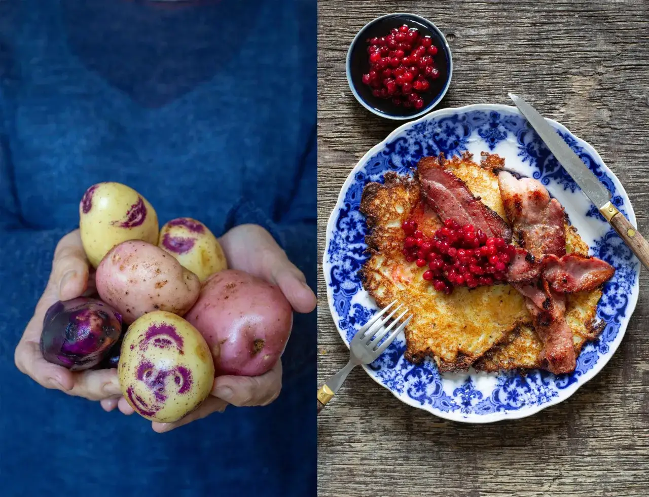 Raggmunk recept: färskpotatis i händer och en tallrik med stekt raggmunk, bacon och lingon.