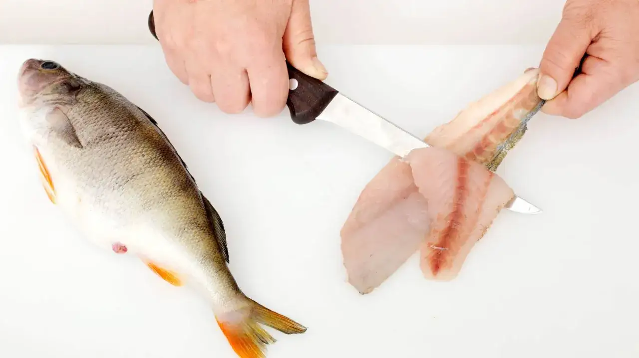 Händer som filéar en abborre på en vit skärbräda. Fisken är färsk och redo att rensa.